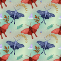 Winter moths