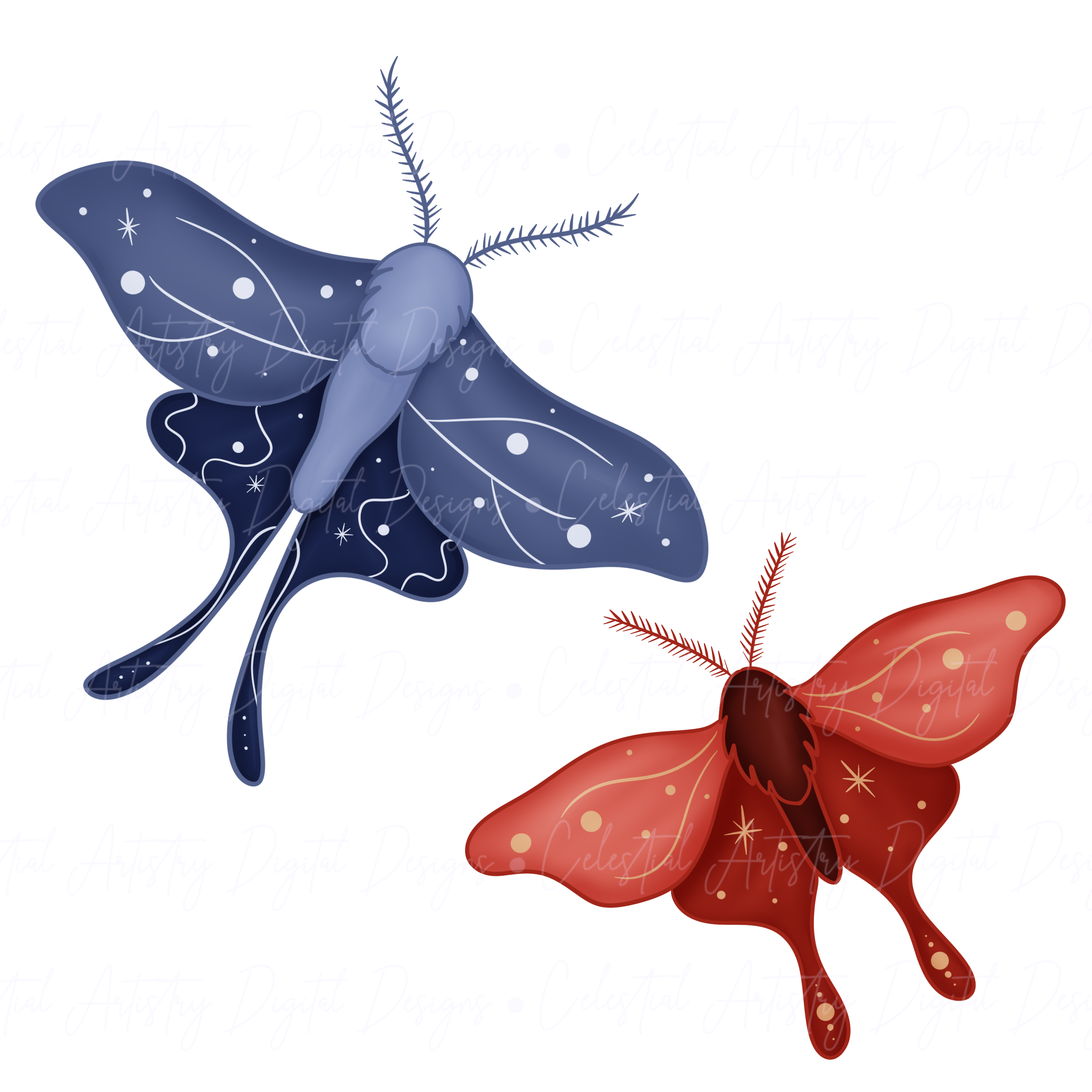 Winter moths